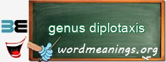 WordMeaning blackboard for genus diplotaxis